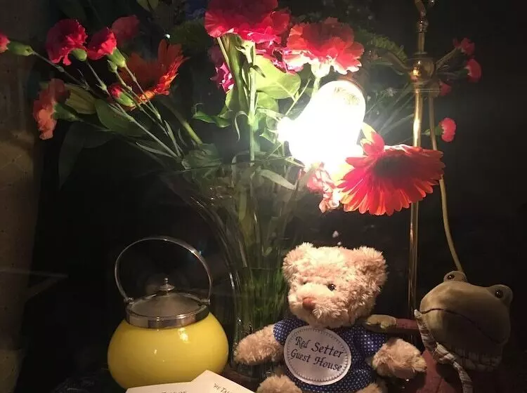 ペンション Red Setter Town House B&b