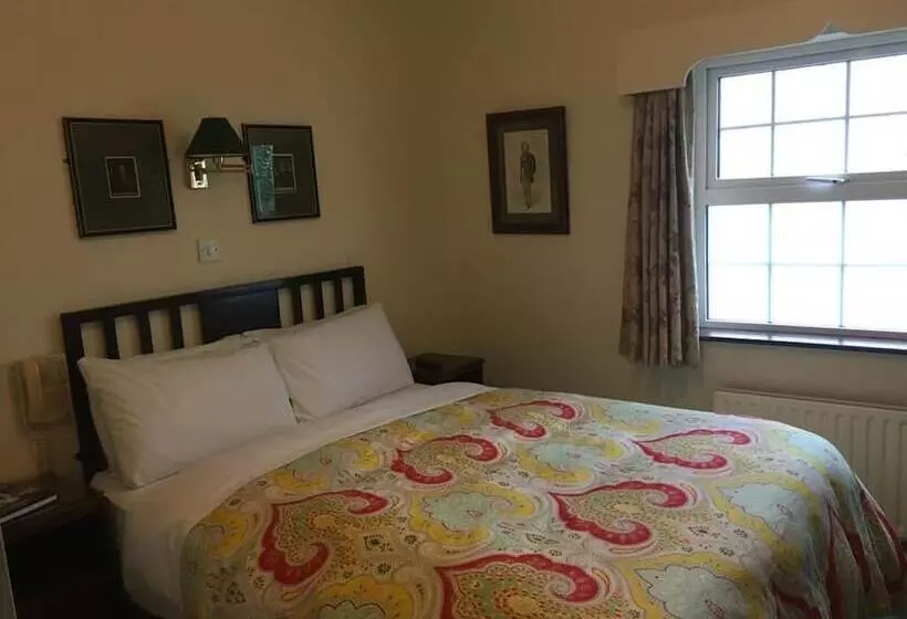 ペンション Red Setter Town House B&b