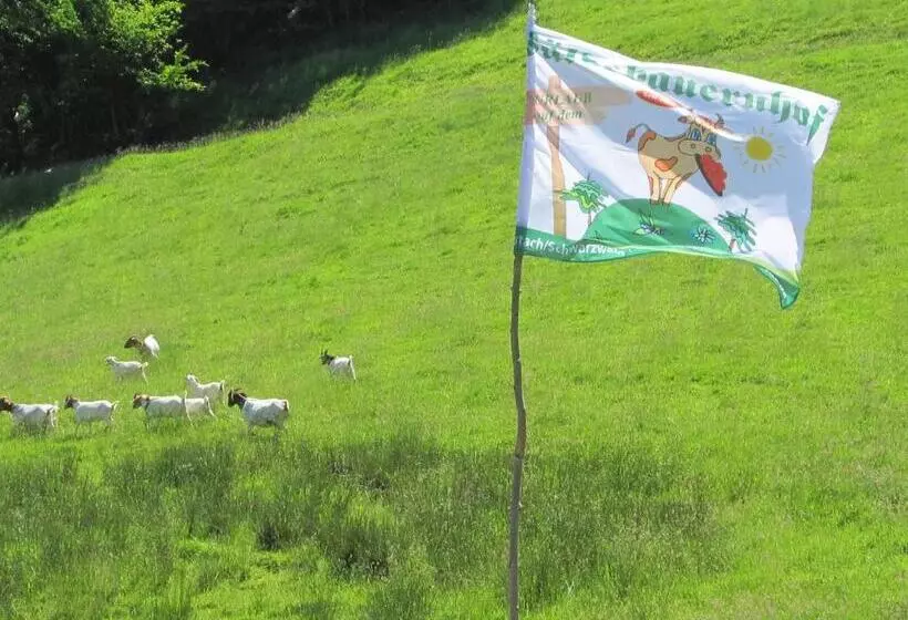 Majatalo Wäldebauernhof