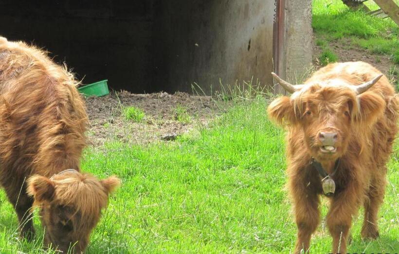 펜션 Wäldebauernhof