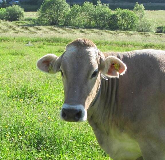 펜션 Wäldebauernhof