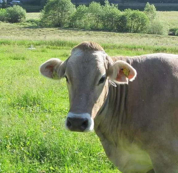 Majatalo Wäldebauernhof