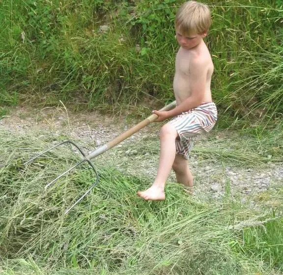 Majatalo Wäldebauernhof