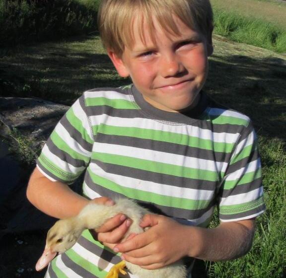 펜션 Wäldebauernhof