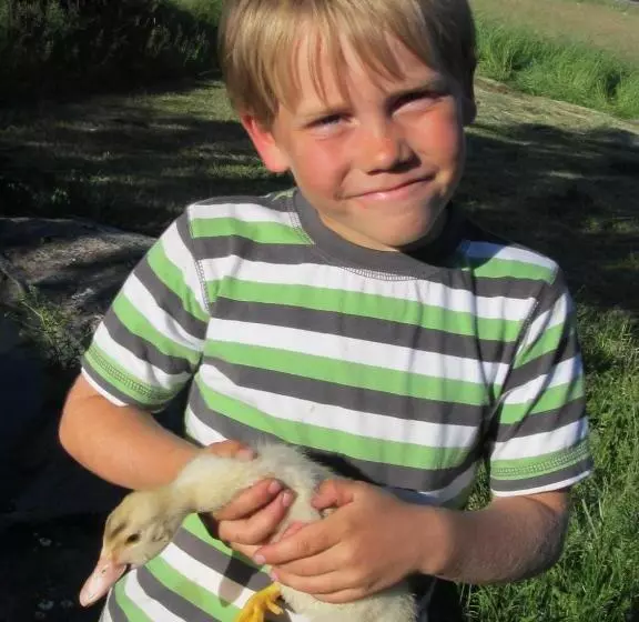 Majatalo Wäldebauernhof