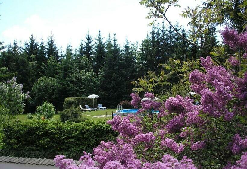 Pension Pfefferdohle