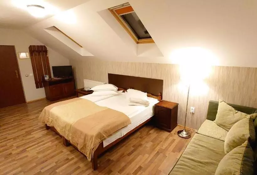 Pensiunea Mușatinii