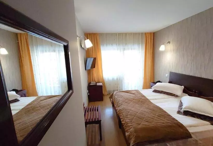 Pensiunea Mușatinii