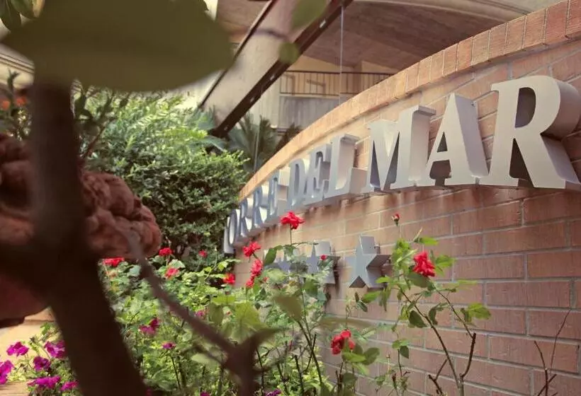 Residence Torre Del Mar