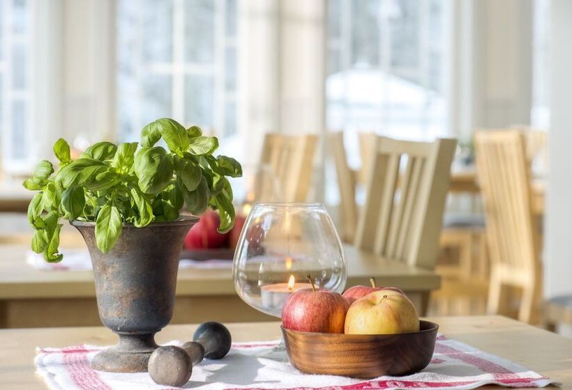 הוסטל Villa Bro