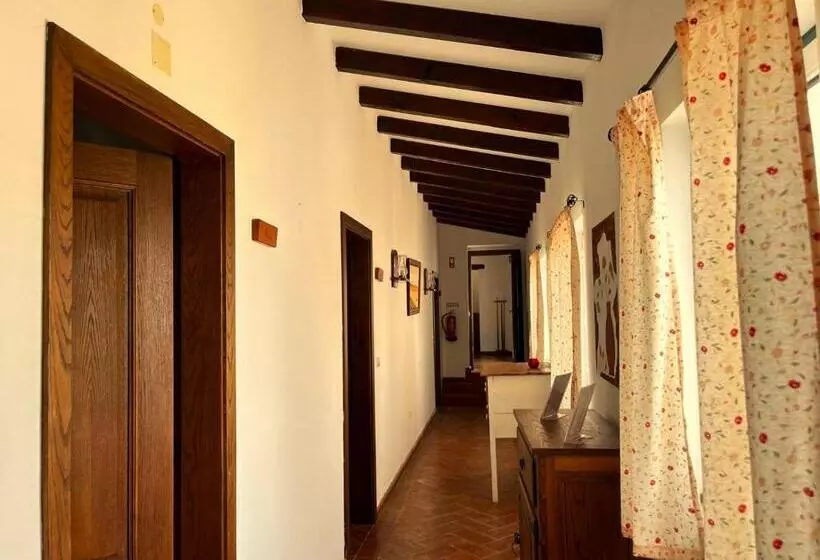 ペンション Agro Turismo Monte Da Galega