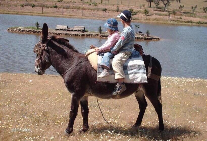 פנסיון Agro Turismo Monte Da Galega