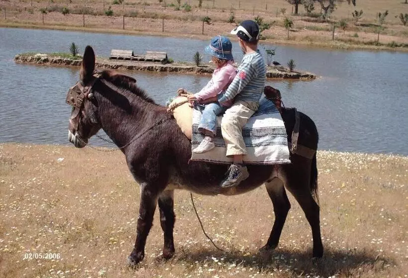 ペンション Agro Turismo Monte Da Galega