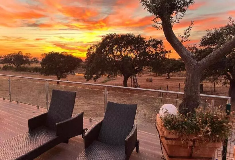 ペンション Agro Turismo Monte Da Galega