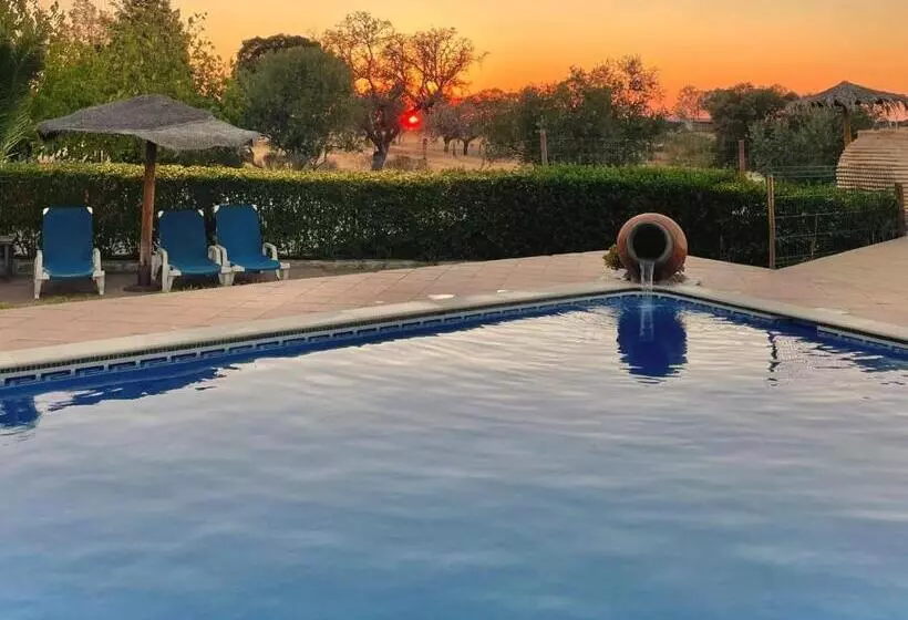 ペンション Agro Turismo Monte Da Galega