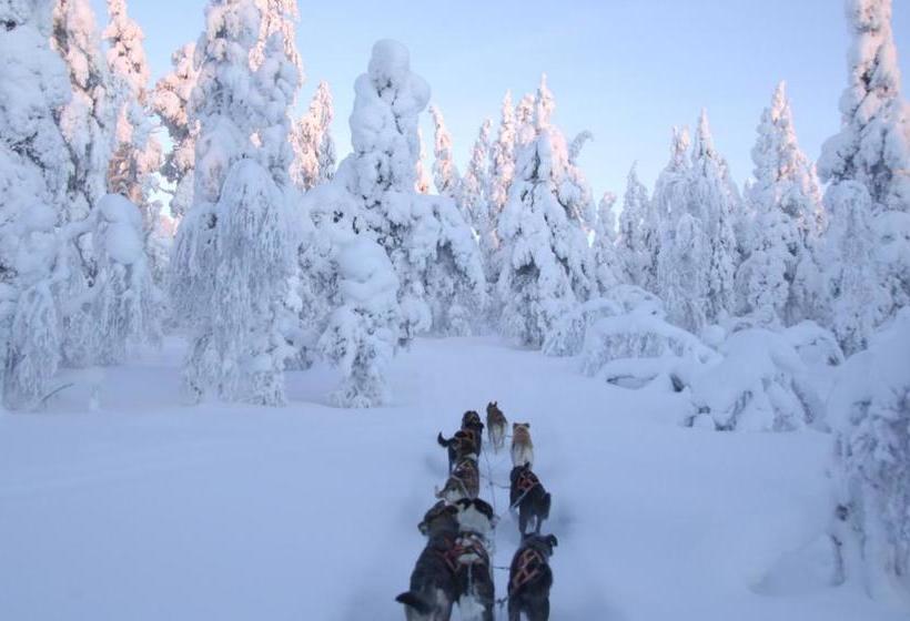 膳宿费 Guesthouse Husky