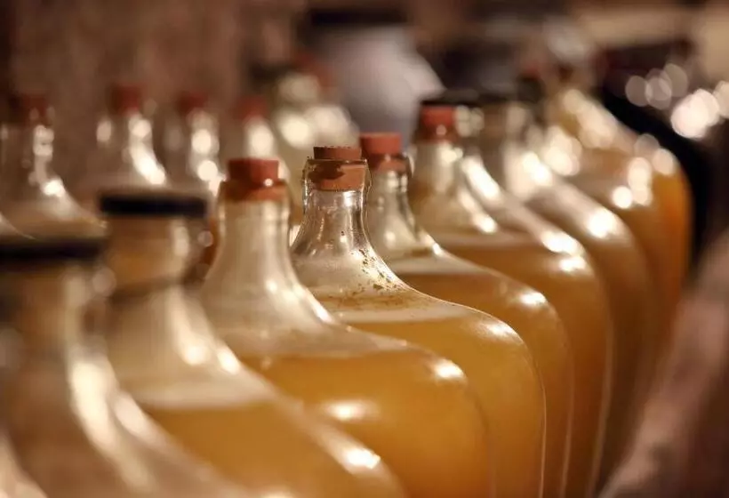 پانسیون Penzion šatovské Lípy