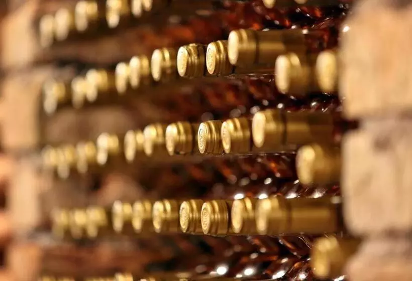 پانسیون Penzion šatovské Lípy