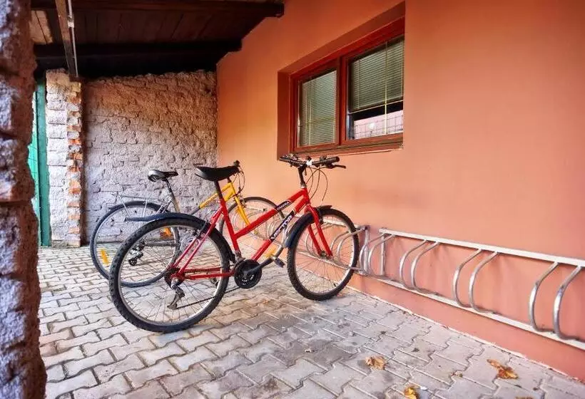 پانسیون Penzion šatovské Lípy