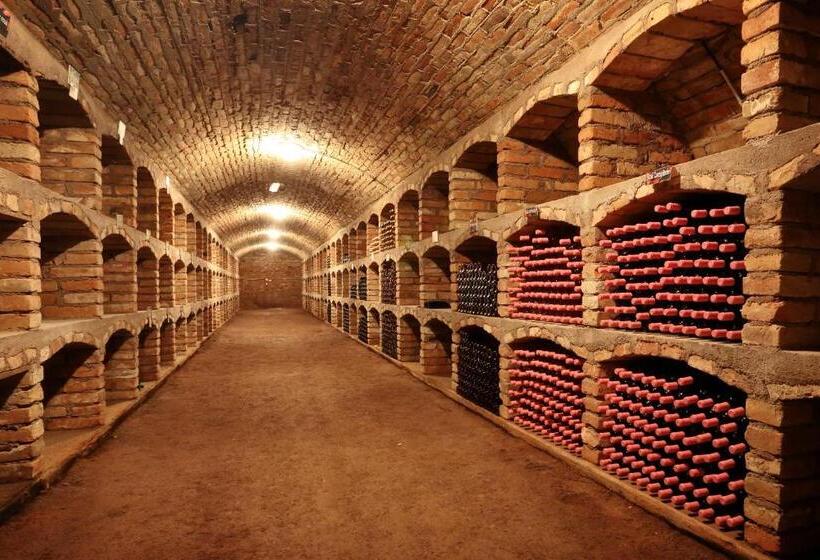 펜션 Penzion šatovské Lípy