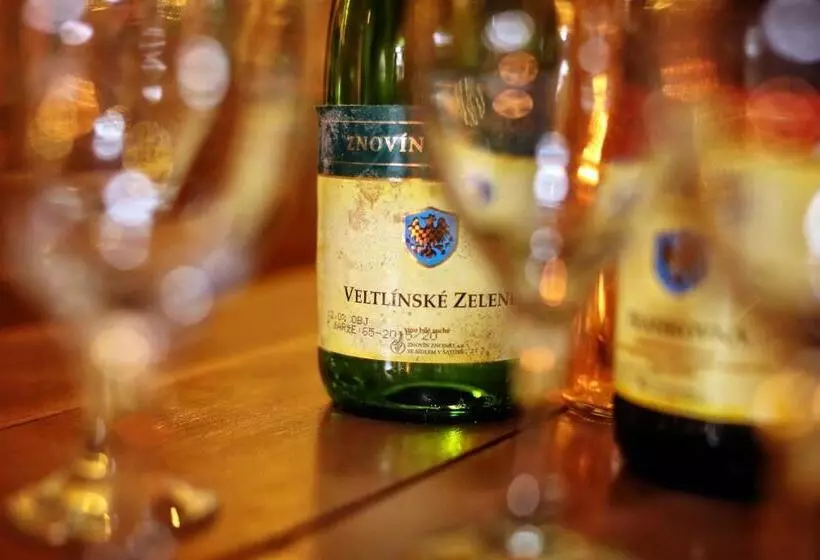 پانسیون Penzion šatovské Lípy