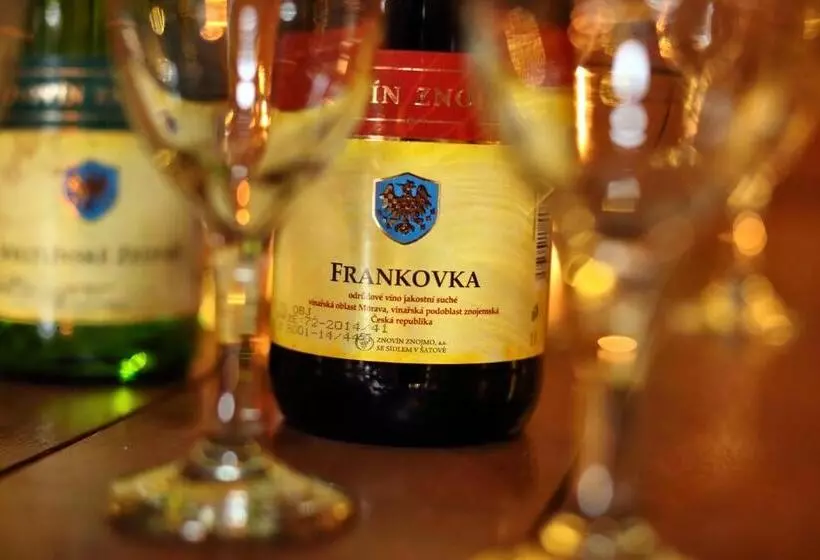 پانسیون Penzion šatovské Lípy