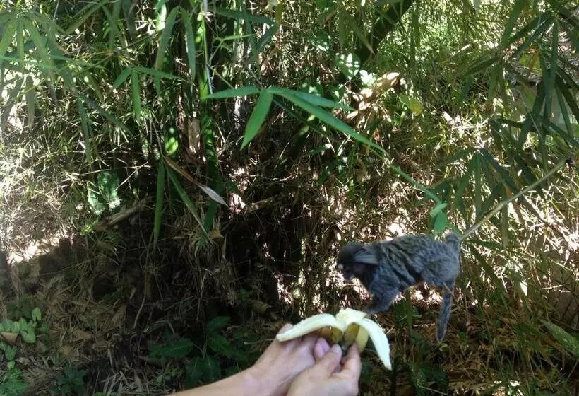 پانسیون Pousada Telhado Azul