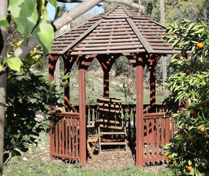 Pension Shulamit Yard