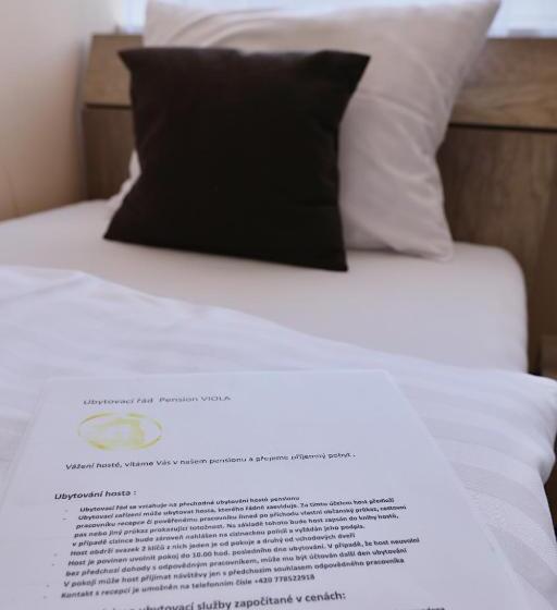 ユースホステル Pension Viola