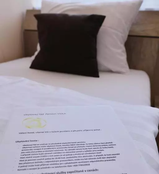 Retkeilymaja Pension Viola