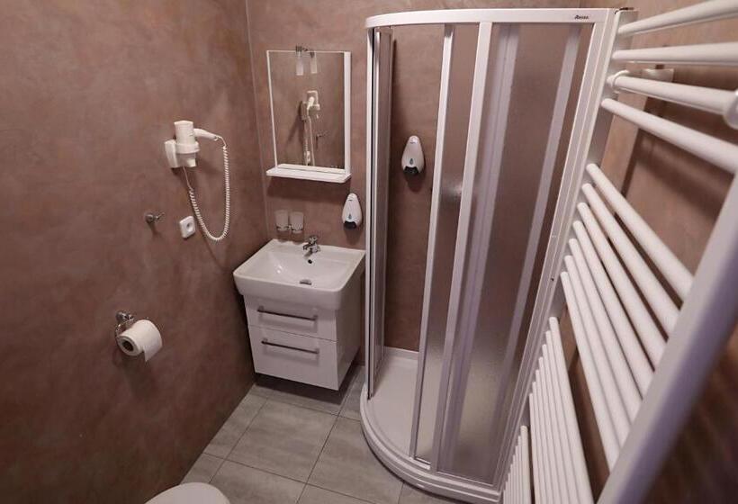 ユースホステル Pension Viola