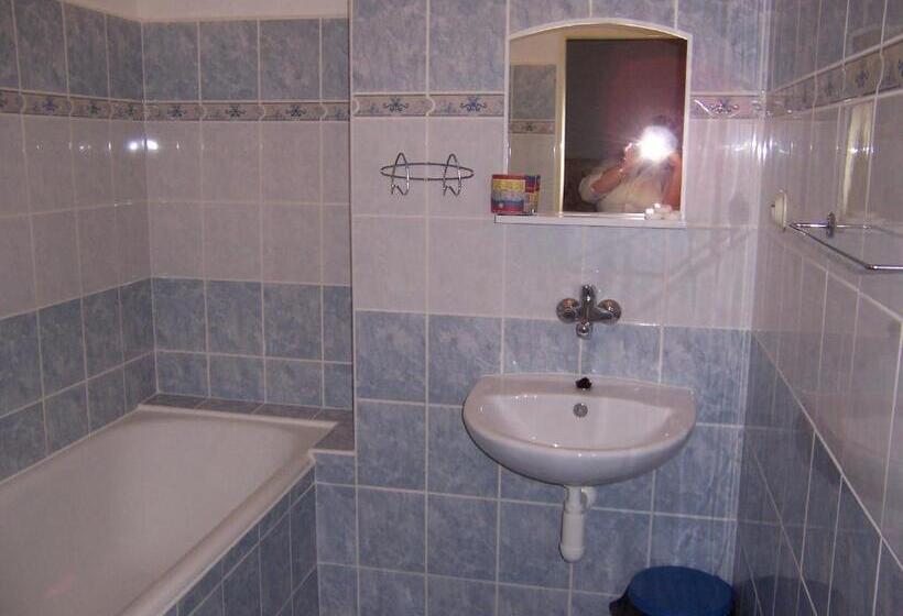 펜션 Penzion Starr