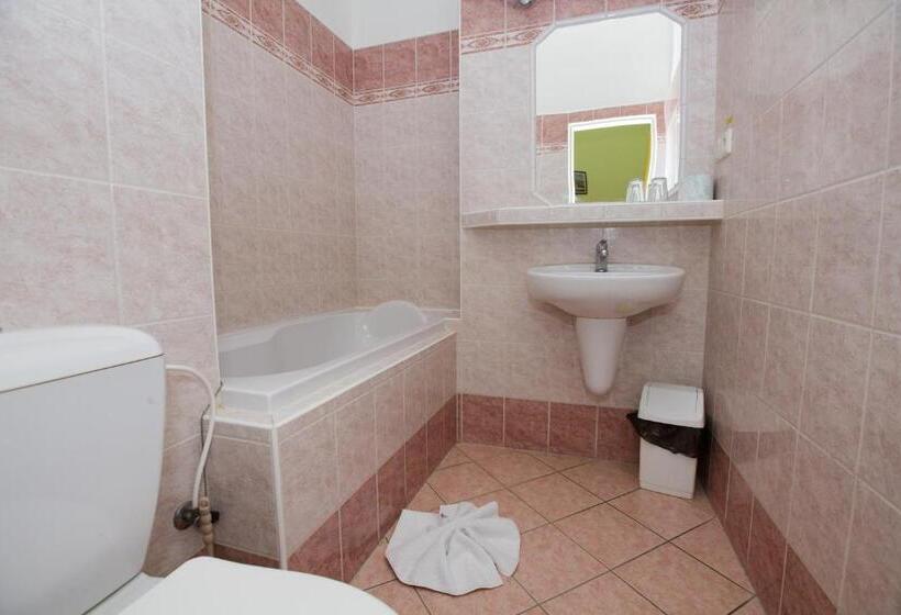 펜션 Penzion Starr