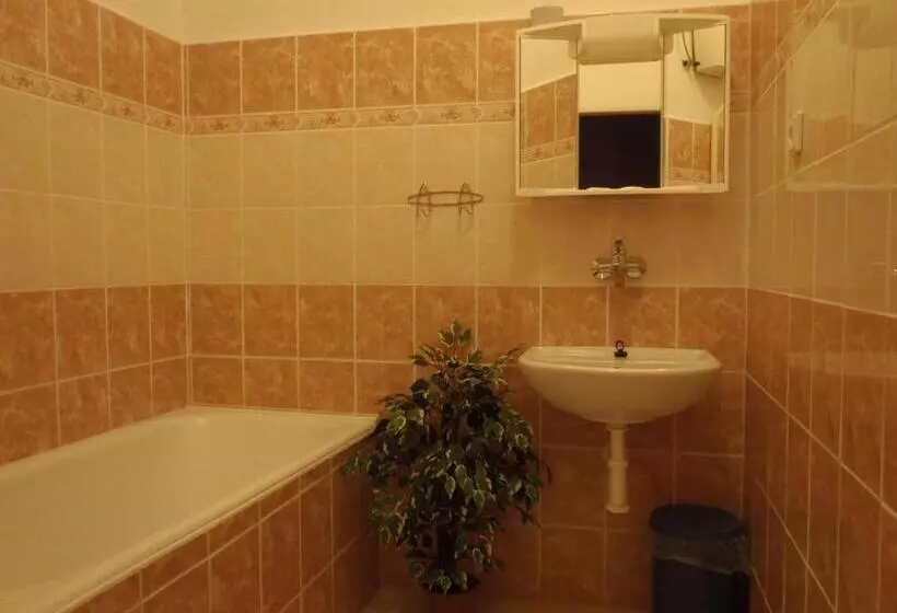 Majatalo Penzion Starr