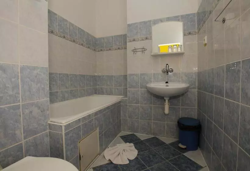 Majatalo Penzion Starr