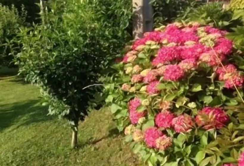 Majatalo Posada El Remanso De Triviecu