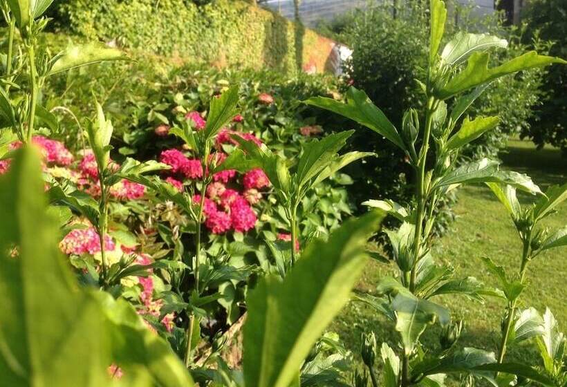 펜션 Posada El Remanso De Triviecu