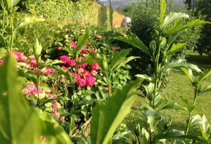 Majatalo Posada El Remanso De Triviecu