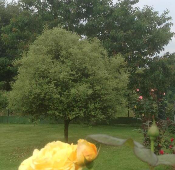 펜션 Posada El Remanso De Triviecu