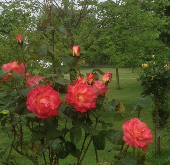 펜션 Posada El Remanso De Triviecu