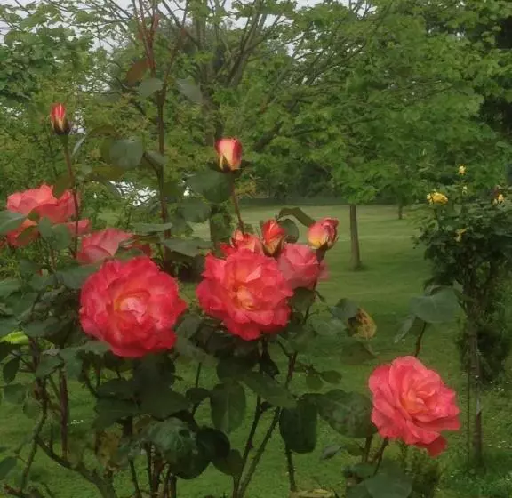 Majatalo Posada El Remanso De Triviecu