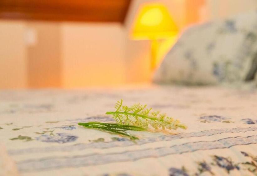 پانسیون Pousada D Lines