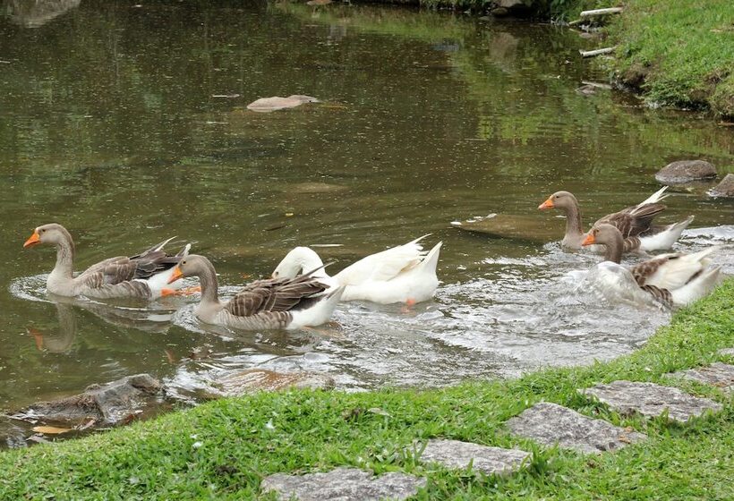 Pensionat Pousada Esmeralda