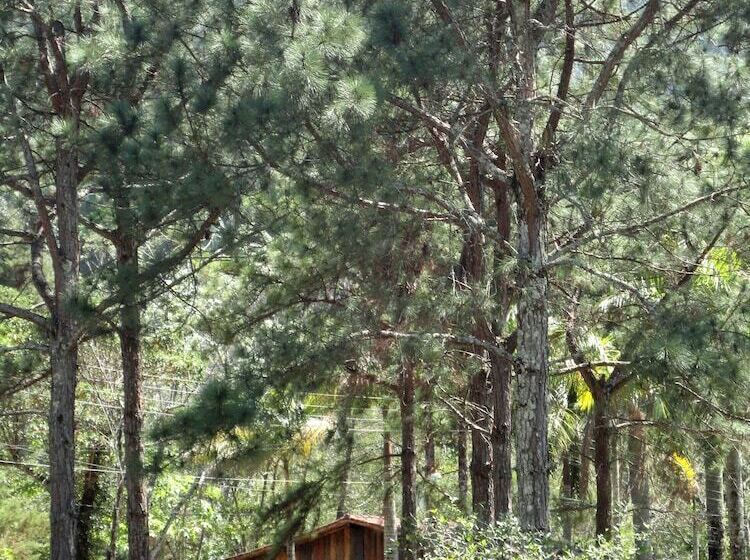 Pensionat Pousada Esmeralda