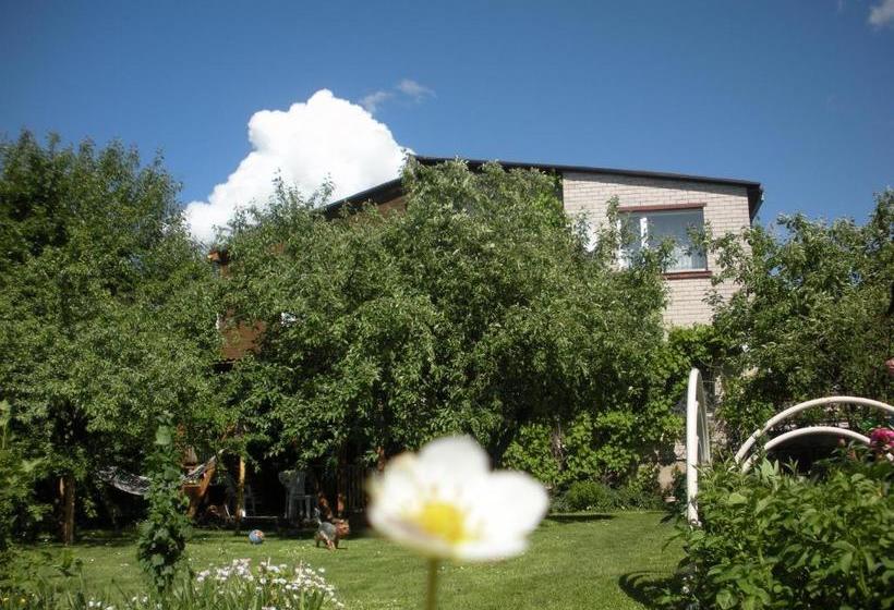 پانسیون Rasas