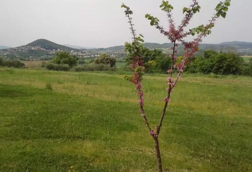 Residence Mariagiulia