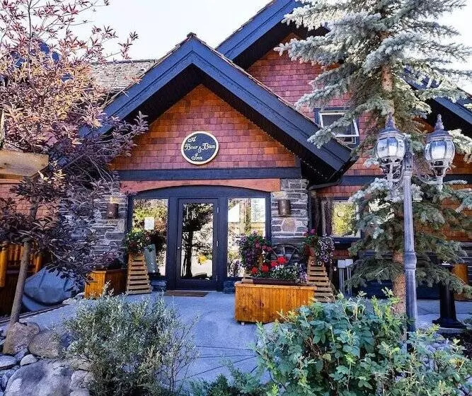 هاستل A Bear And Bison Country Inn