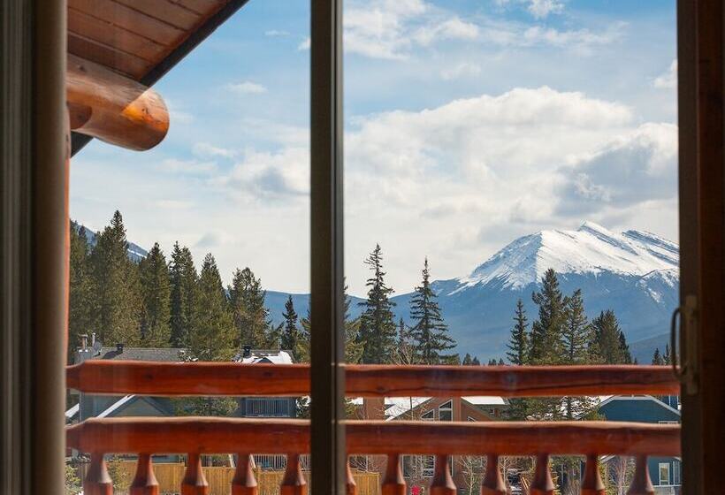 فندق صغير A Bear And Bison Country Inn