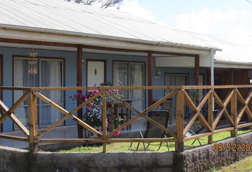 هاستل Petero Atamu