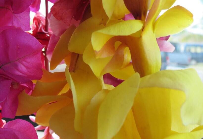 هاستل Petero Atamu